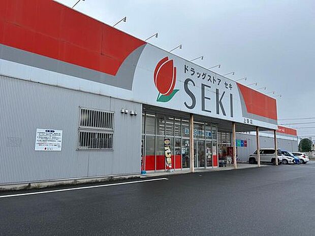 ドラッグストアセキ上柴店（約910m）
