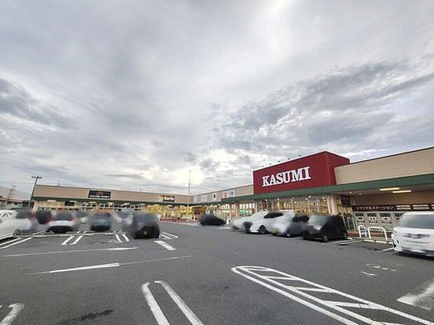 カスミフードスクエア大利根店(約280m)