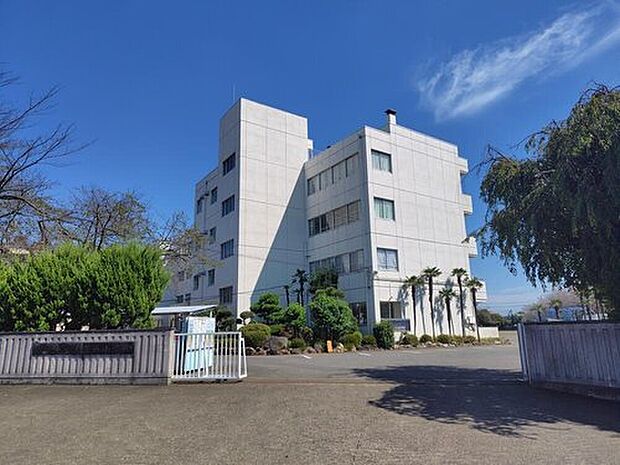 深谷市立上柴西小学校(約1,000m)