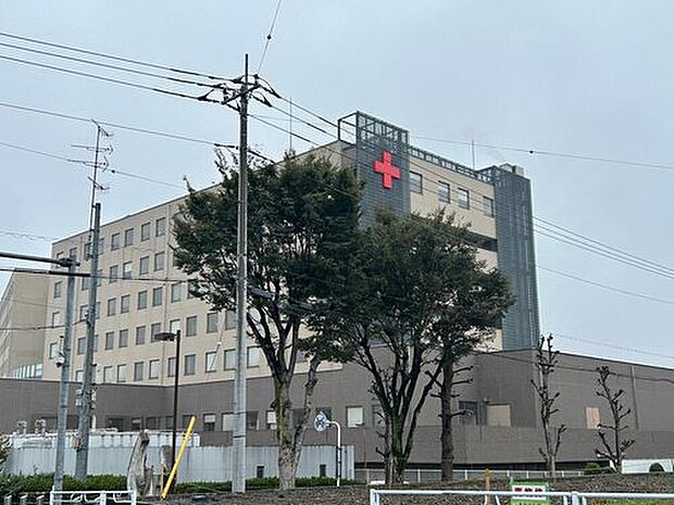 深谷赤十字病院(約900m)