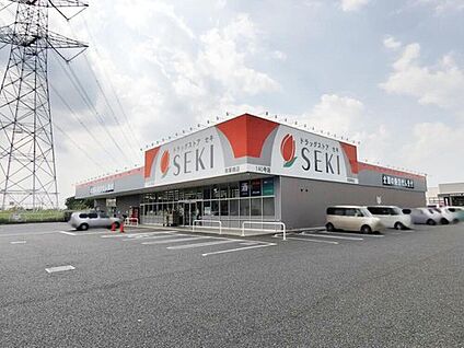 ドラッグストアセキ南栗橋店 3000m (徒歩38分)