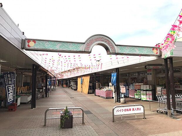 左近山ショッピングセンター（約670m）