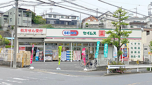 ドラッグセイムス川崎梶ケ谷店(約1,080m)