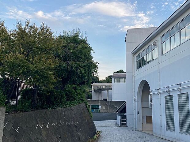 横浜市立本牧中学校（約1,100m）