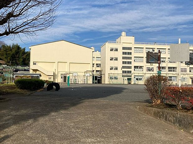 横浜市立荏田小学校（約1,200m）