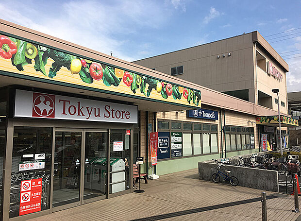 東急ストア江田店（約790m）