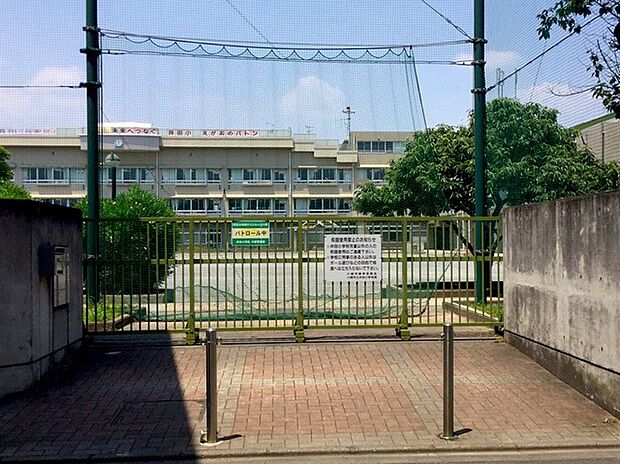 川崎市立井田小学校(約900m)