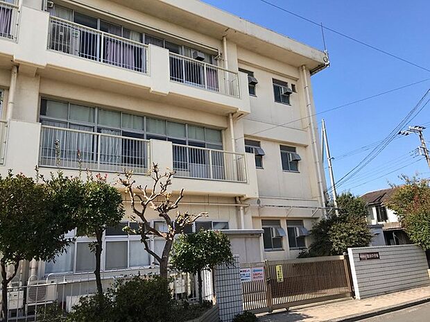 横浜市立宮田中学校(約500m)