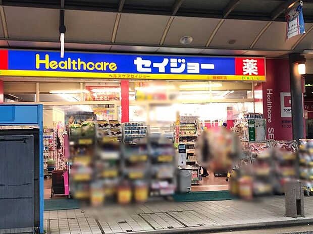 ヘルスケアセイジョー藤棚店(約620m)