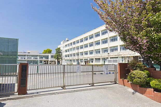 横浜市立中沢小学校（約400m）