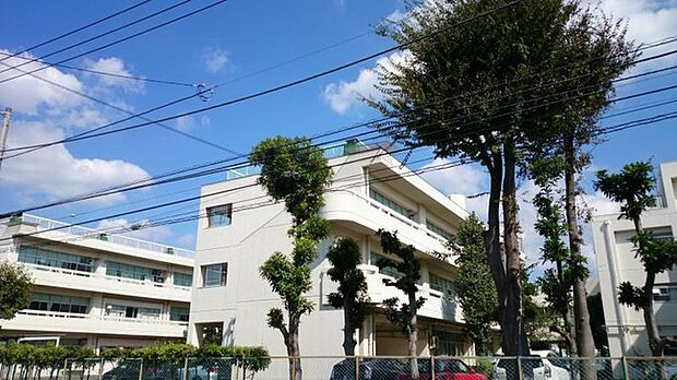 横浜市立菅田中学校(約1,100m)