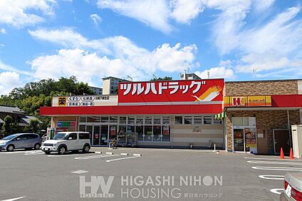 ツルハドラッグ川崎下麻生店 760m