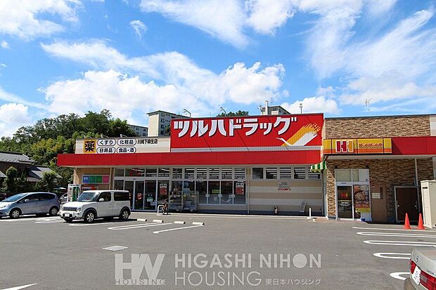 ツルハドラッグ川崎下麻生店（約760m）