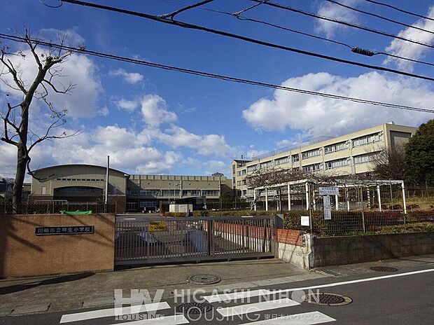 川崎市立柿生小学校（約1,500m）