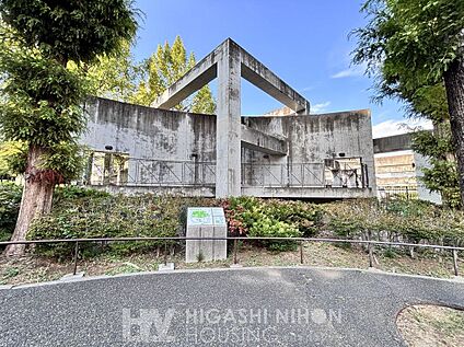 都筑中央公園 800m