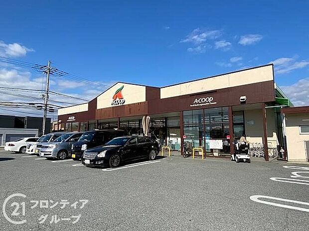 エーコープ玉手店（約480m）