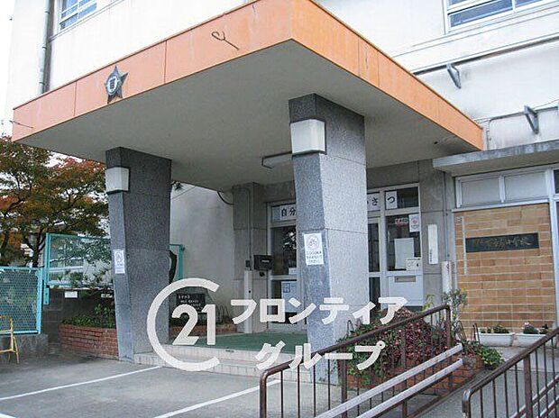 堺市立百舌鳥小学校（約700m）