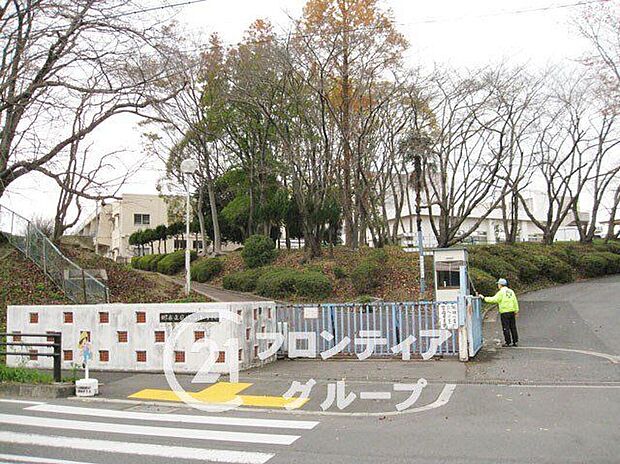 堺市立庭代台小学校（約370m）