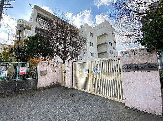 西宮市立樋ノ口小学校（約790m）