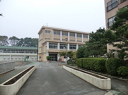 横浜市立三ツ沢小学校 750ｍ(徒歩10分)