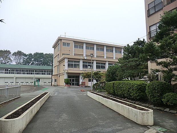 横浜市立三ツ沢小学校(約750m)