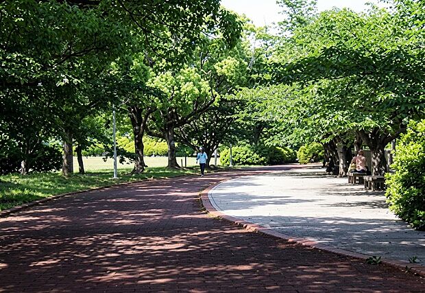 仏生山公園(約1m)