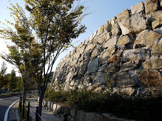 【歩道】毎日散歩したくなる、石垣は土地を造成したさいに出た岩盤を使っています。この石垣を見るたびサンノゼの丘がどのように成り立ったのか考えさせられる。