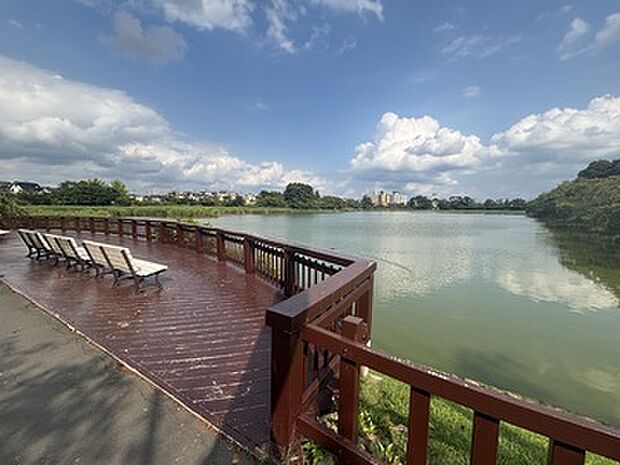 五百淵公園まで徒歩9分(650m)春の桜や野鳥観察も楽しめる五百淵公園まで徒歩約9分です。休日のお散歩にも最適です。