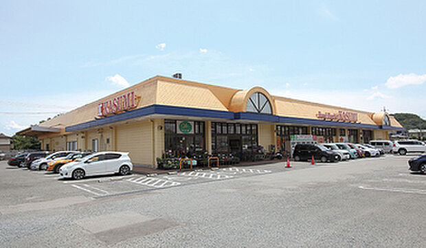 スーパーマーケット「カスミ」約750m~805m (徒歩約10分~11分)
毎日夜21:45まで営業しているので、夕食の買い物などにも便利。