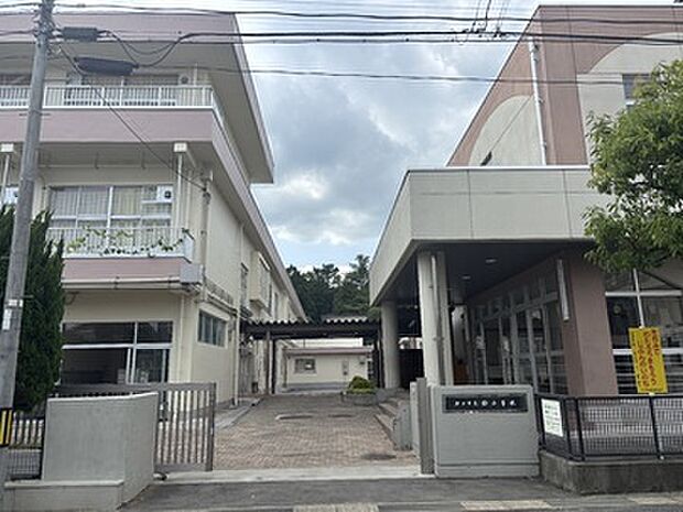 郡山市立桜小学校(約500m)