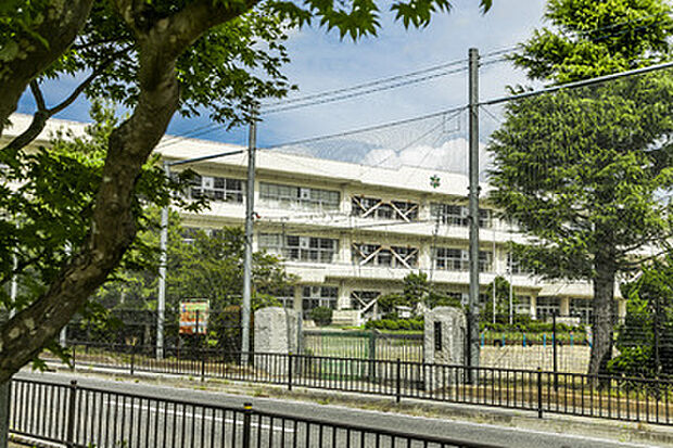 富谷小学校(約762m)