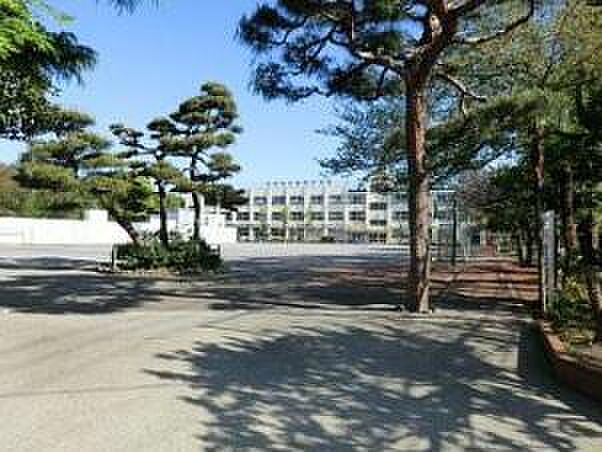 中野区立緑野小学校（約254m）