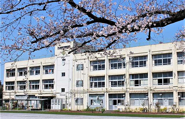 練馬区立田柄小学校(約950m)