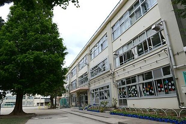 杉並区立桃井第一小学校（約467m）