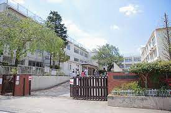 練馬区立開進第二小学校(約474m)