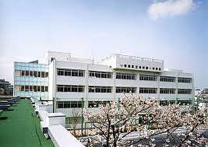板橋区立志村第一中学校 943m