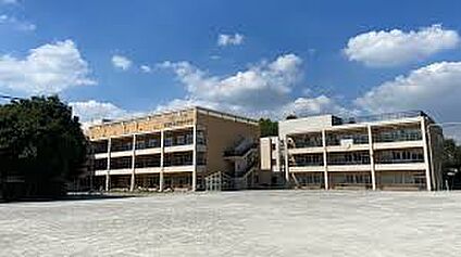 杉並区立荻窪小学校 439m