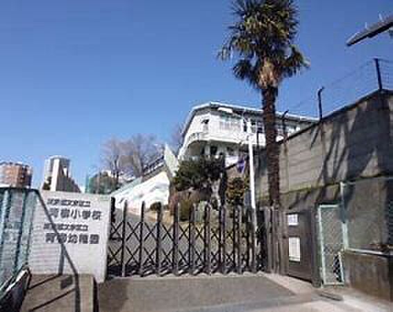 文京区立青柳小学校(約846m)