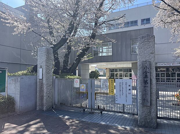 小金井第一小学校（約450m）