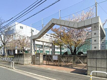 江戸川区立南葛西第二中学校 1000m(徒歩13分)