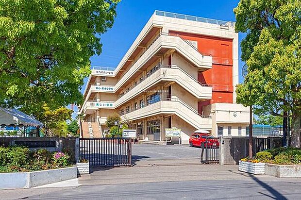 三郷市立早稲田中学校(約500m)