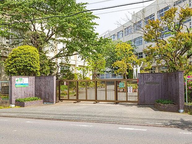 市川市立新浜小学校（約300m）