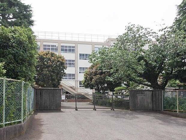 市川市立柏井小学校（約550m）