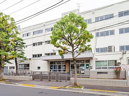 江戸川区立上一色中学校 550m (徒歩7分)