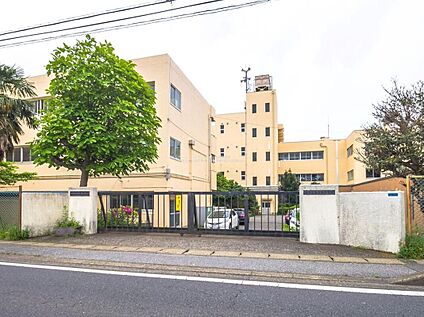 柏市立酒井根中学校 280m(徒歩4分)