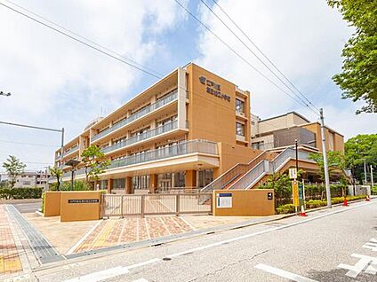 江戸川区立第三松江小学校 850m (徒歩11分)