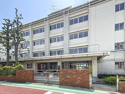 江戸川区立小岩第一中学校 100m (徒歩1分)
