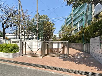 江戸川区立南葛西第三小学校 550m (徒歩7分)