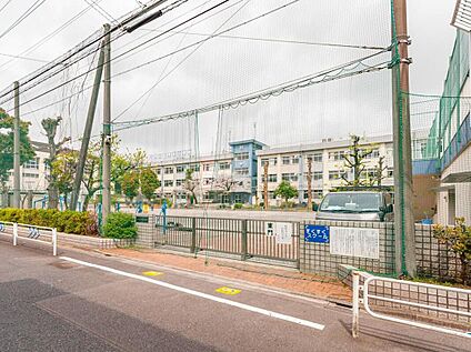 江戸川区立平井小学校 450m(徒歩6分)