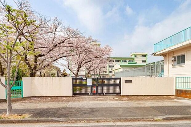 江戸川区立篠崎第五小学校（約400m）